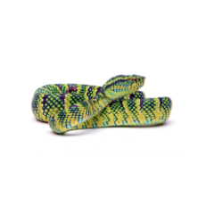 Reptile Supplies