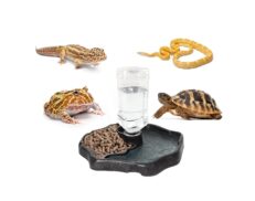 Reptile Supplies