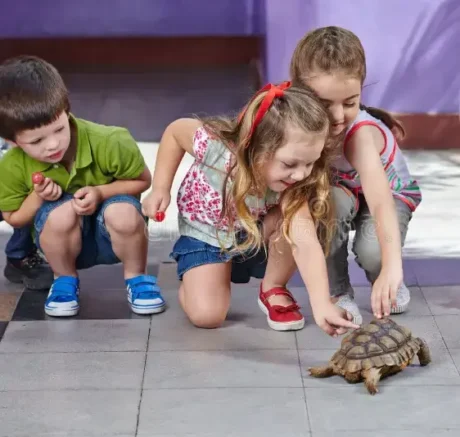 Children_playing_with_Tortoise