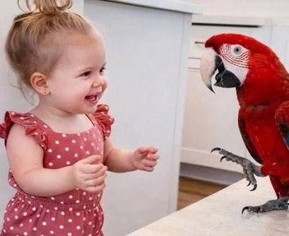 Girl_Plays_with_Macaw_Parrot