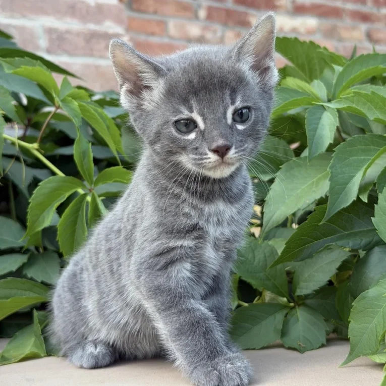 Tina